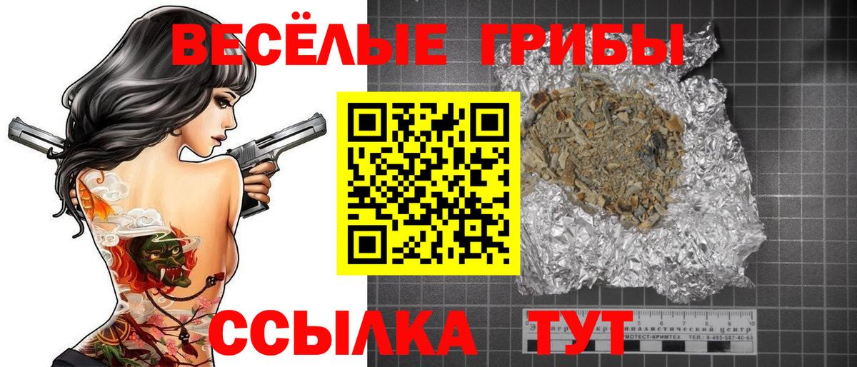Сосновый Бор  Псилоцибиновые грибы Psilocybine cubensis  Вход с VPN 